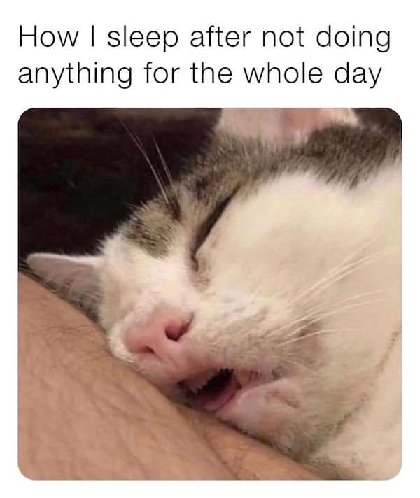 sleeeeep